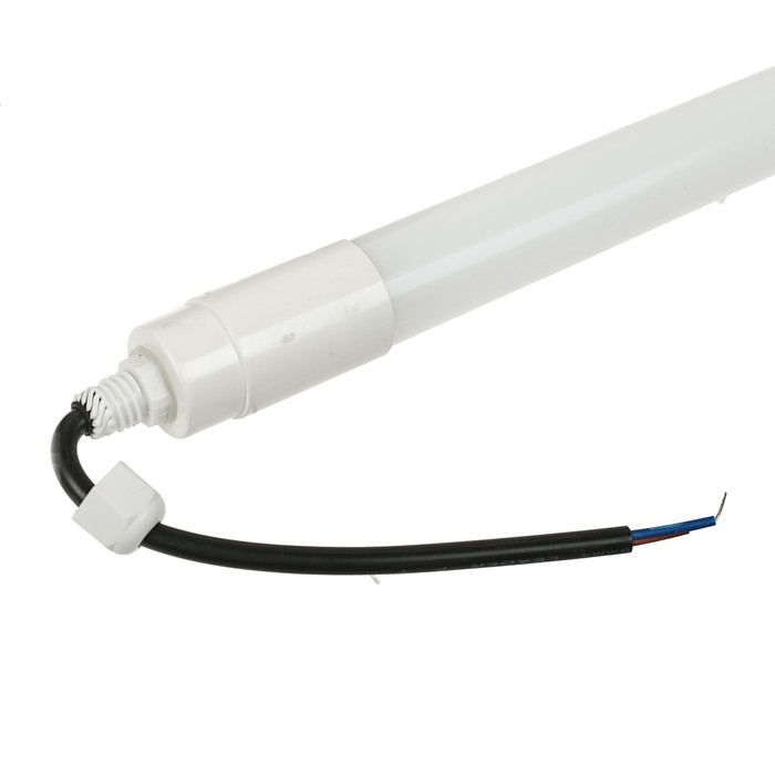 Лампа-светильник светодиодная Luazon T8, 18Вт, IP65, 1200 мм, 220 В, синий свет