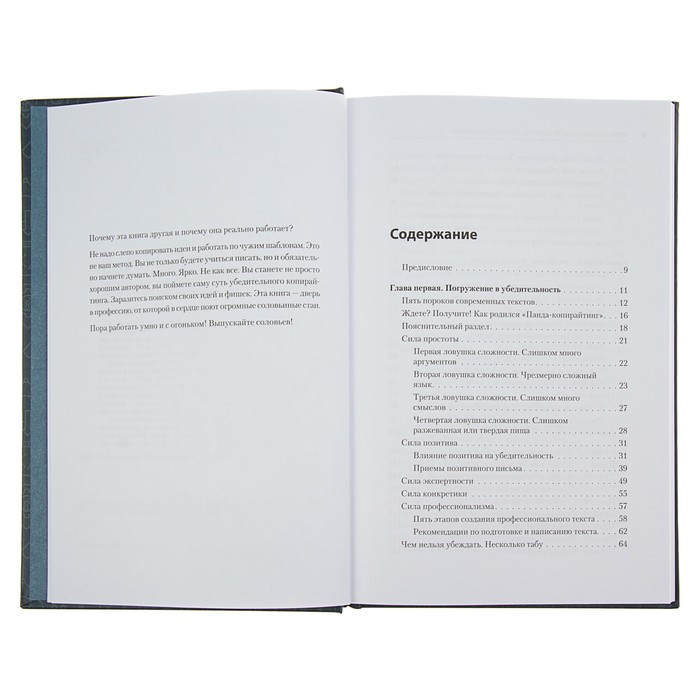 Маркетинг для профессионалов. Тексты, которым верят. Коротко, понятно, позитивно. Панда П.