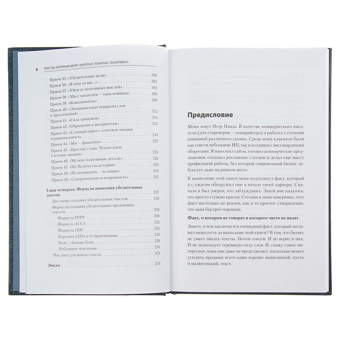 Маркетинг для профессионалов. Тексты, которым верят. Коротко, понятно, позитивно. Панда П.