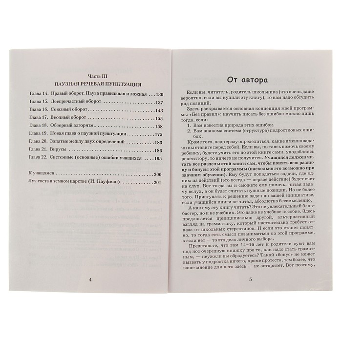 Идеальная грамотность Русский язык без правил и словарей. Романова Н В
