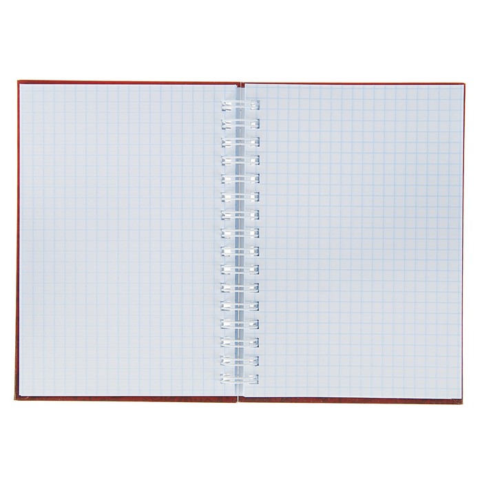 Записная книжка твёрдая обложка А6, 80 листов на гребне «ЧМ по футболу 2018. Эмблема», красная