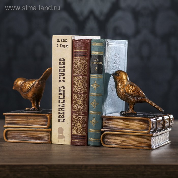 Птицы И Книги Фото