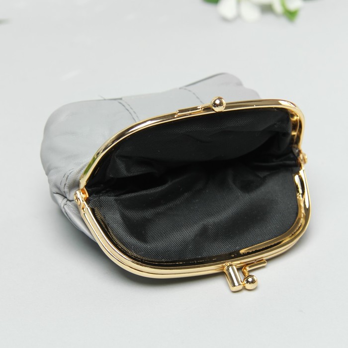 Косметичка-фермуар, натуральная кожа, 2 отдел на фермуаре, цвет серый