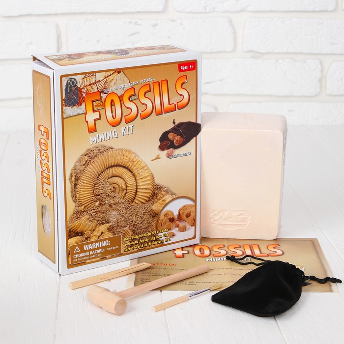 Набор археолога "Древние окаменелости" + молоток, долото, кисть, лупа