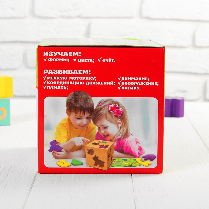Сортер-бизикуб деревянный "Зверята" ( 10 деталей)