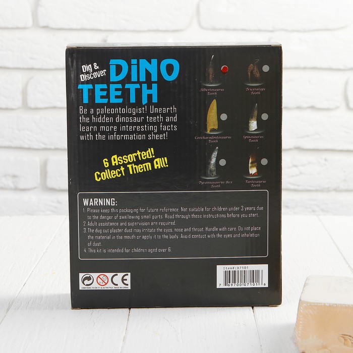 Набор археолога серия зуб динозавра "Альбертозавр" + молоток, долото, кисть
