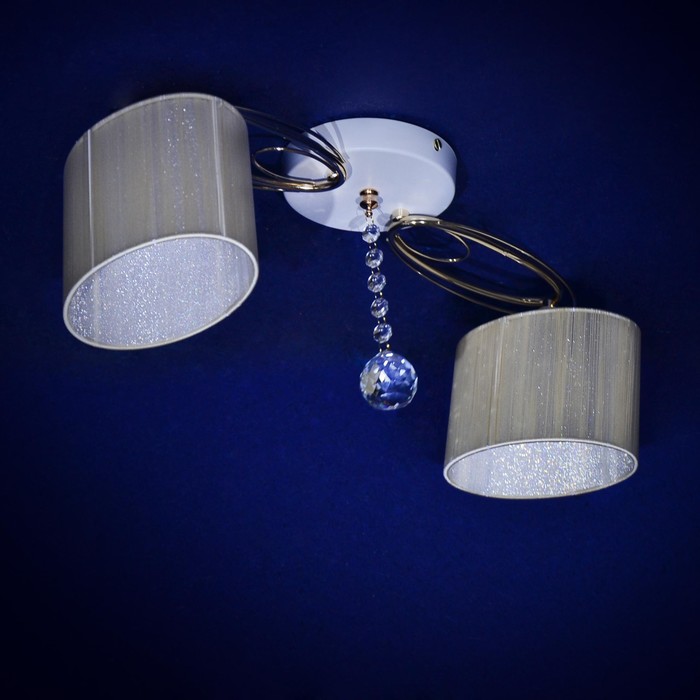 Люстра "Нубия" 2x40Вт Е27 серебро 53x53x24см