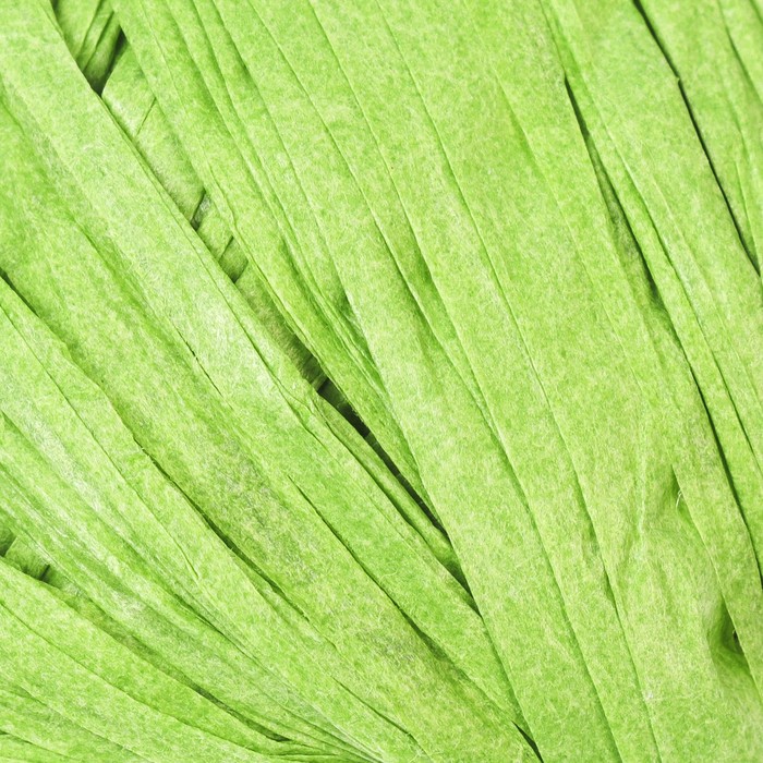 Пряжа "Рафия"  100% целлюлоза 100м/40гр (зелёный)