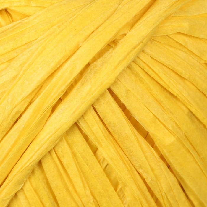 Пряжа "Рафия"  100% целлюлоза 100м/40гр (жёлтый)