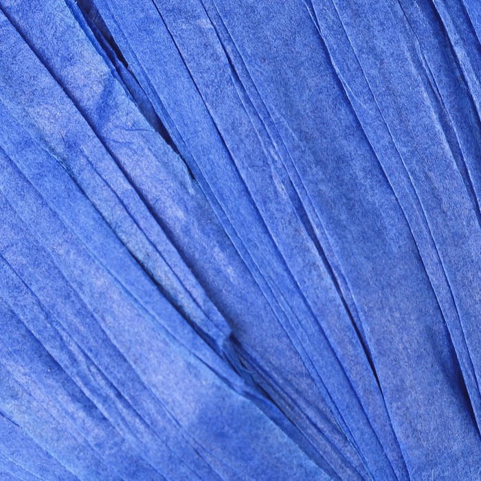 Пряжа "Рафия"  100% целлюлоза 100м/40гр (василёк)