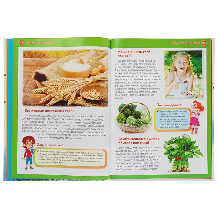 1234 вопроса – 1234 ответа. Лучшая детская иллюстрированная энциклопедия