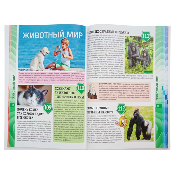 300 вопросов – 300 ответов. Первая энциклопедия для мальчиков и девочек