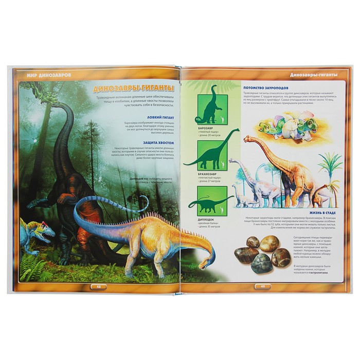 Энциклопедия маленького почемучки. Что? Когда? Зачем? Почему?