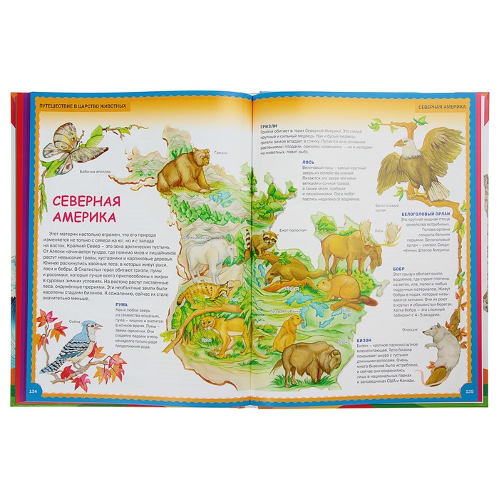 Самая лучшая энциклопедия для самых маленьких