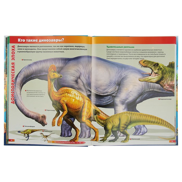 Лучшая энциклопедия для любознательных детей