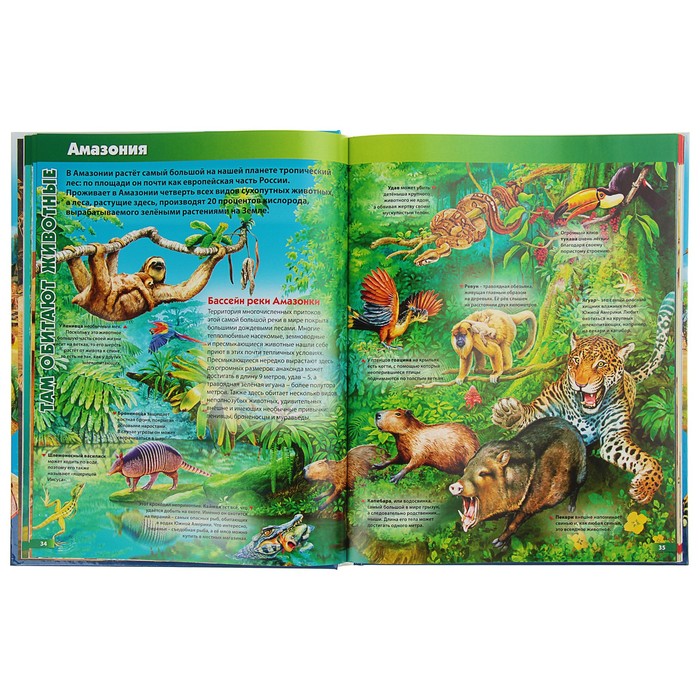 Лучшая энциклопедия для любознательных детей