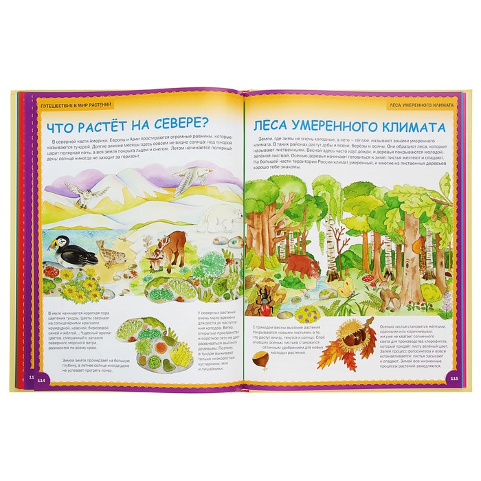 Лучшая энциклопедия для почемучек от 3 до 6 лет