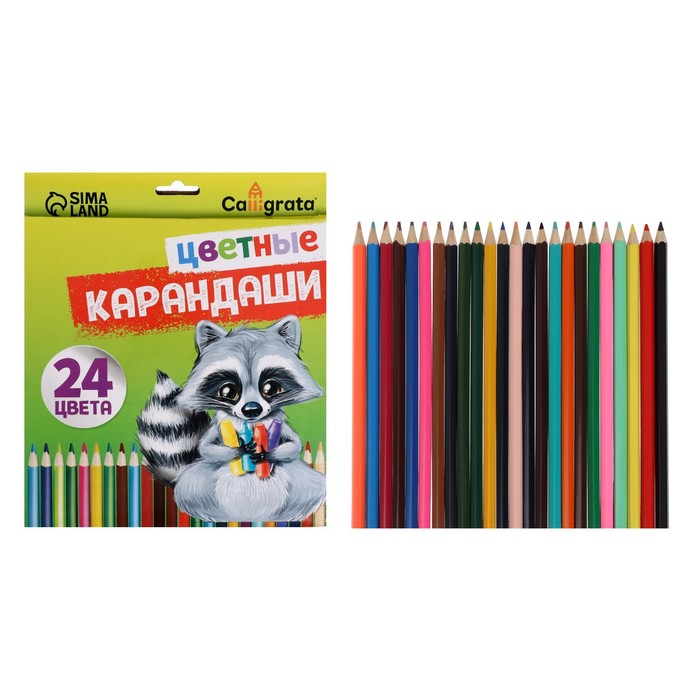 

Карандаши 24 цвета, шестигранные, в картонной коробке