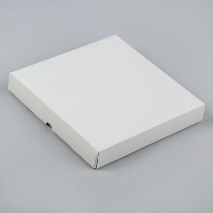 Коробочка белая 19 х 19 х 3 см