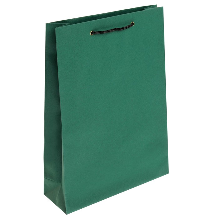 пакеты с покупками. пакет подарочный зеленый. зеленый пакет. пакет подарочный зеленый. зеленый крафтовый пакет.