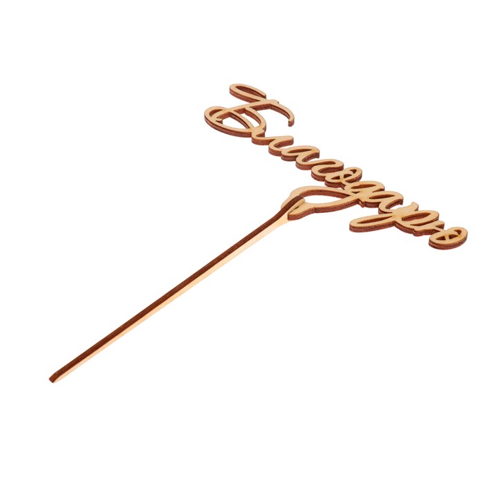 Топпер "Благодарю" из фанеры, 14x6 см (ТПР-377)