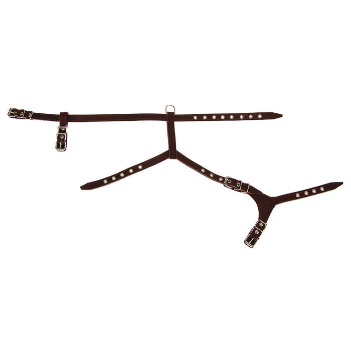 Шлейка прогулочная с подшивкой, 1,5 см