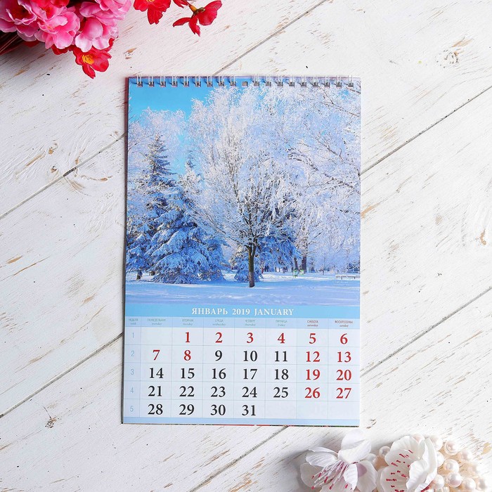 Календарь перекидной, пружина "Природа" 2019 год, 17х25см