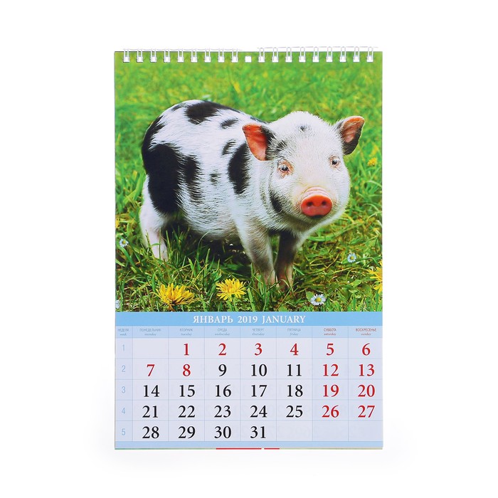 Календарь перекидной, пружина "Символ года - 1" 2019 год, 17х25см