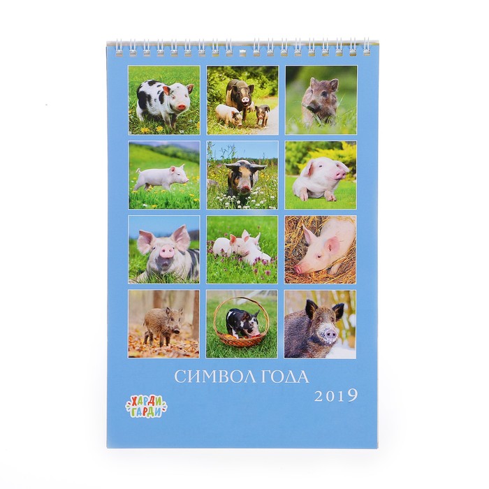 Календарь перекидной, пружина "Символ года - 1" 2019 год, 17х25см