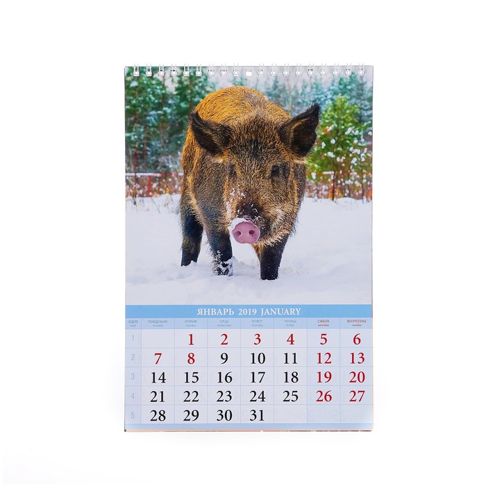 Календарь перекидной, пружина "Символ года - 2" 2019 год, 17х25см