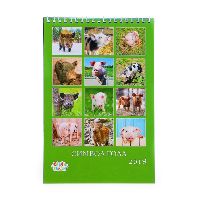 Календарь перекидной, пружина "Символ года - 2" 2019 год, 17х25см