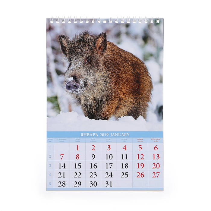 Календарь перекидной, пружина "Символ года - 3" 2019 год, 17х25см