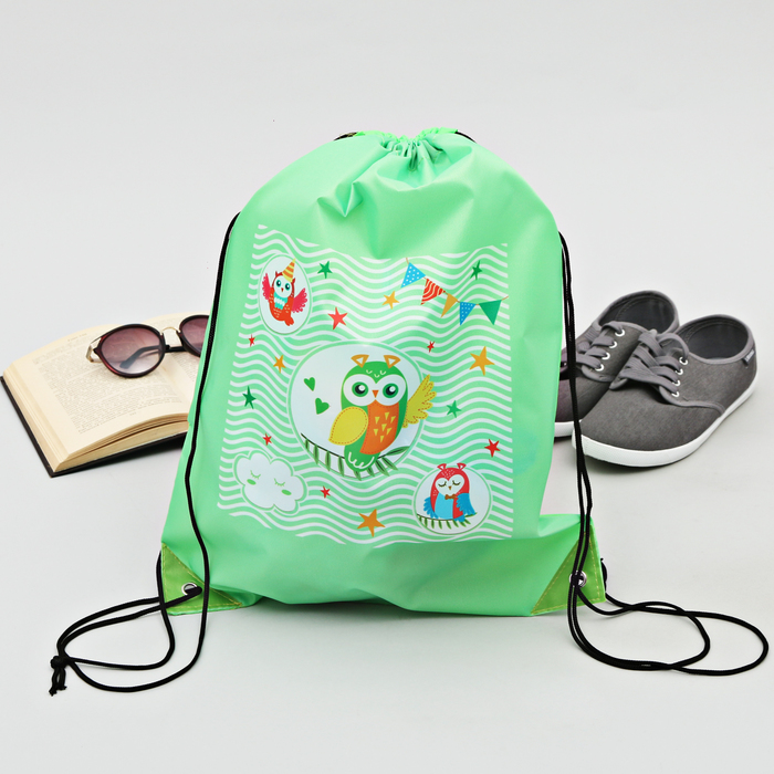 Сумка-рюкзак для обуви "Совы", 43 х 38 см