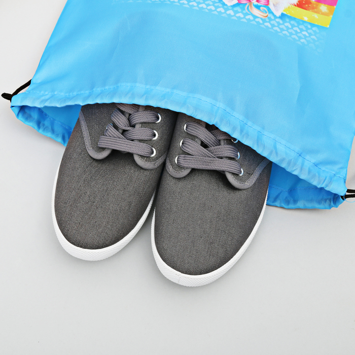 Сумка-рюкзак для обуви "Собачка", 43 х 38 см