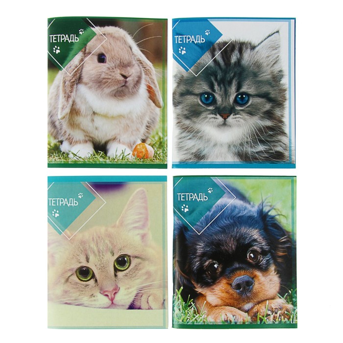 Тетрадь 96 листов клетка Calligrata "Домашние животные", белизна 90-95%, плотность 60г/м2, обложка картон, микс