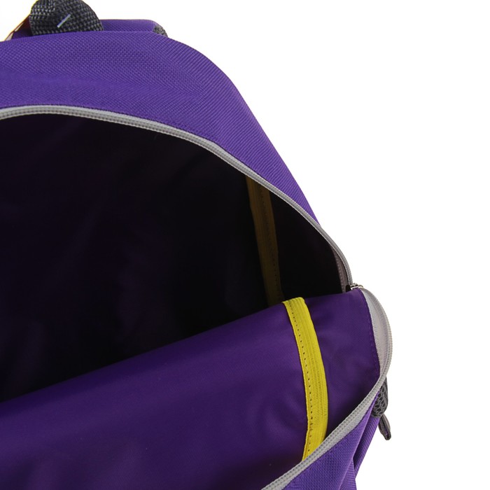 Рюкзак школьный с эргономичной спинкой 35 х 28 х 13 см Ir's "Заяц-певец"