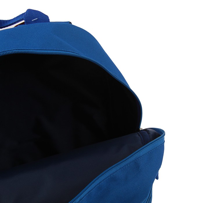 Рюкзак школьный с эргономичной спинкой 35 х 28 х 13 см Ir's "Заяц-певец", синий