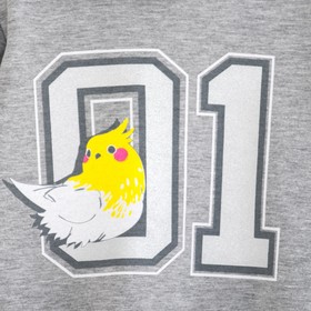 

Худи для девочки "01", серая, р-р 30 (98-104 см) 3-4г., 95% хл., 5% эл.