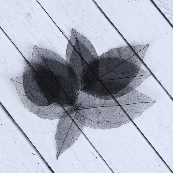 Скелетированный листочек "Магический" черный