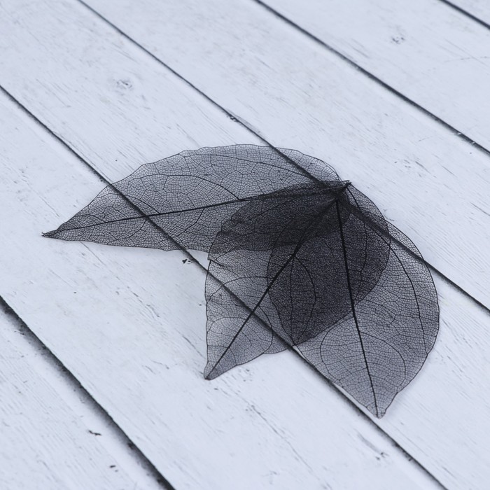 Скелетированный листочек "Магический" черный