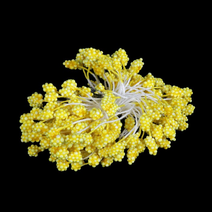 Тычинки Magic 4 Hobby 03 (набор 80 шт)