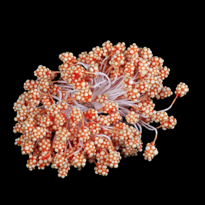 Тычинки Magic 4 Hobby 09 (набор 80 шт)