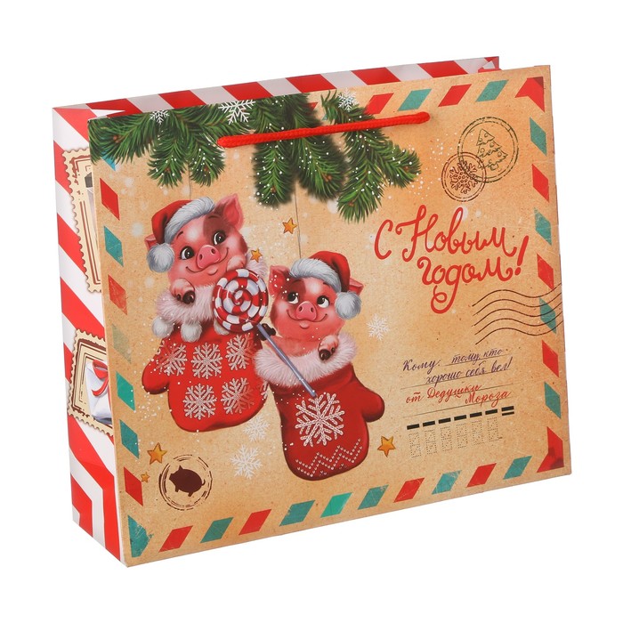 Пакет ламинат горизонтальный «Новогодняя почта», ML 23 х 27 х 8 см