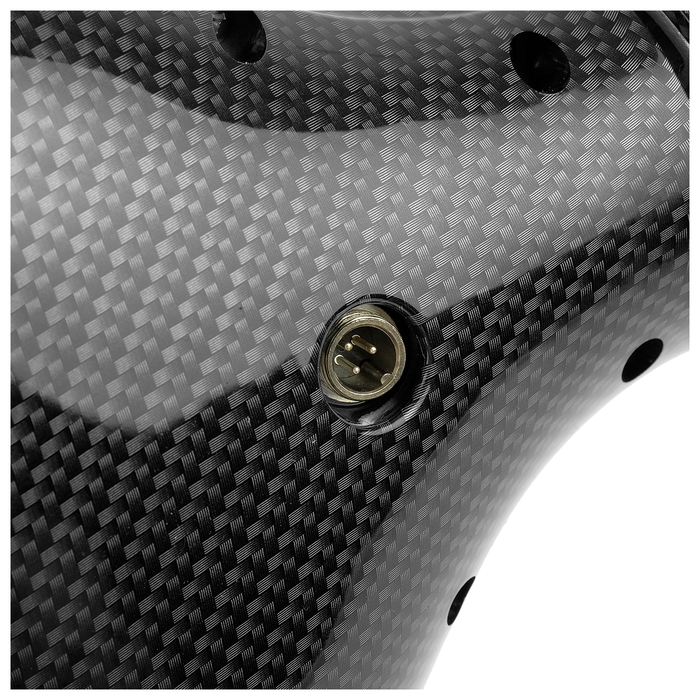 Гироскутер 10.5 CARCAM SmartBalance Carbon