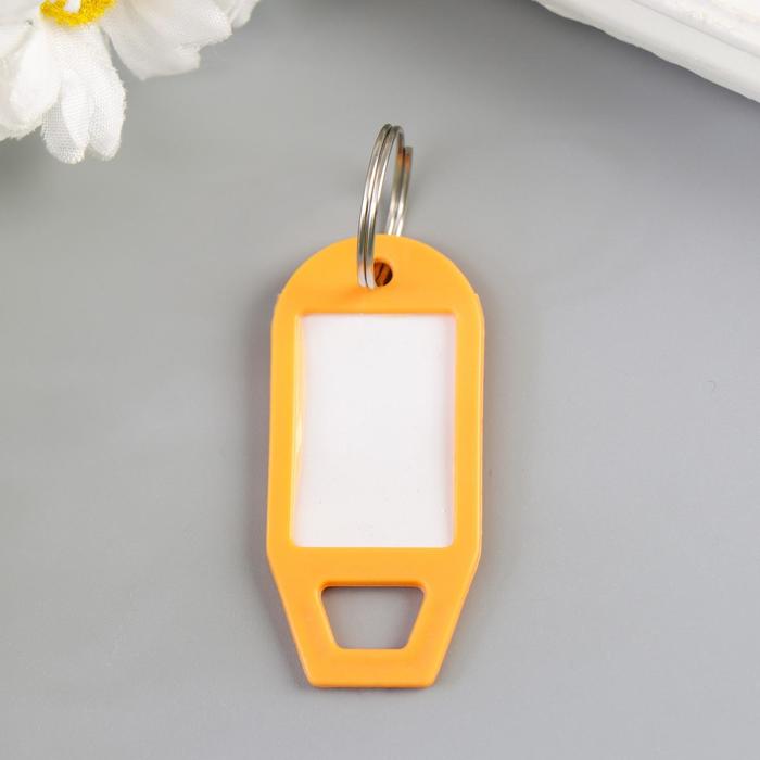 Идентификатор для ключей на кольце пластик МИКС 5х2,3х0,3 см