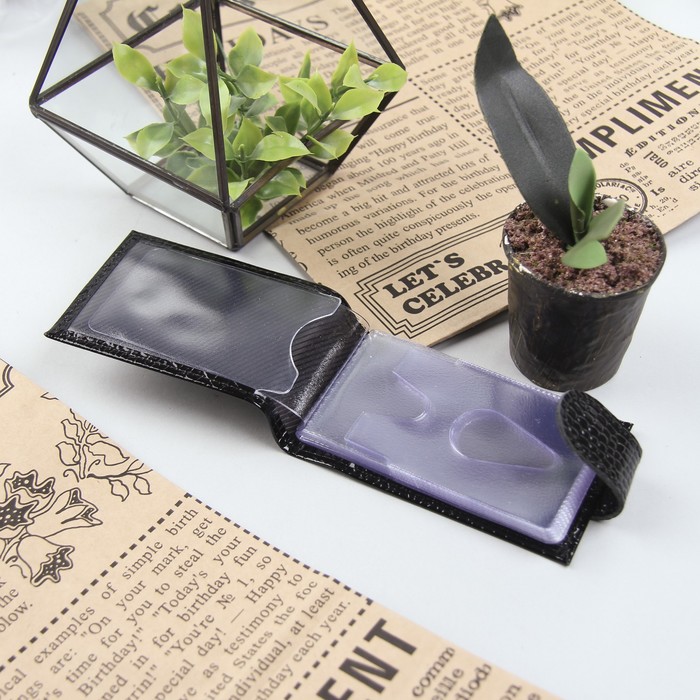 Кредитница горизонтальная, 1 ряд, 18 листов, с хлястиком, крокодил, цвет чёрный