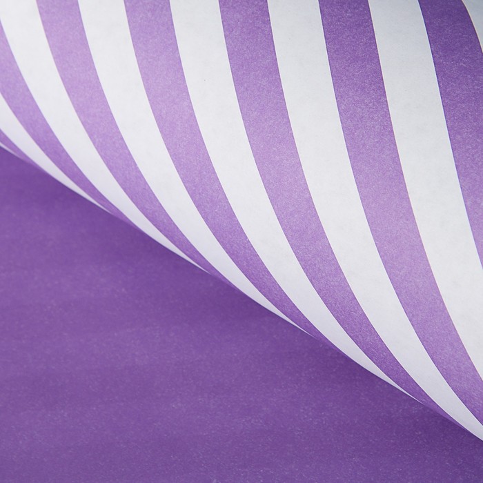 Бумага упаковочная крафт "Полосы на сиреневом", 50 х 70 см, 10 листов