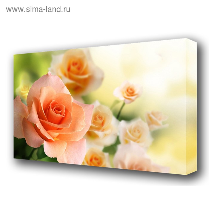 

Картина на холсте "Аромат розы" 60*100 см