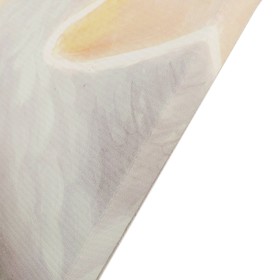 

Модульная картина на подрамнике "Лебеди на пруду" 2-25х64, 2-25х71,1-25х80 125*80 см