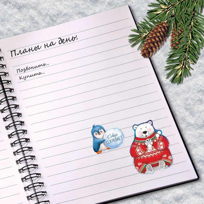 Наклейки «СЕВЕР», 11 х 15 см